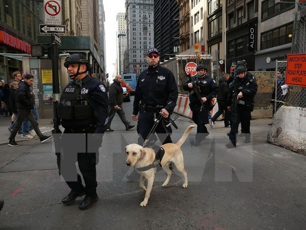 Mỹ có thể phạt đối tượng khủng bố gốc Việt 50 năm tù giam ảnh 1