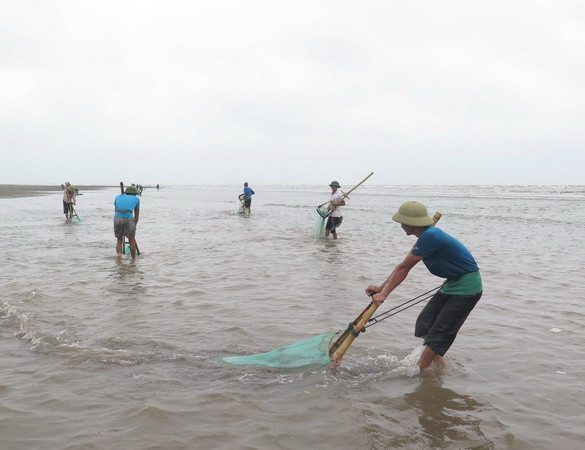 Người dân bám biển đánh bay tin đồn cá chết ở biển Cồn Vành ảnh 1