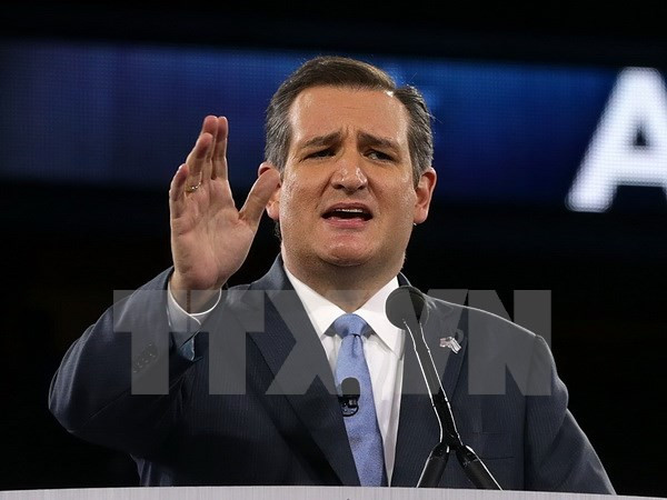 Bầu cử Mỹ: Thượng nghị sỹ Ted Cruz có thể sẽ trở lại đường đua ảnh 1