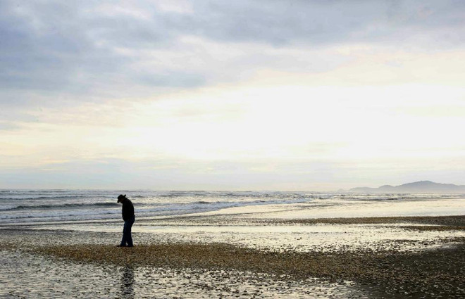 Cá voi, cá mòi chết thành đống, tràn ngập bờ biển Chile ảnh 2