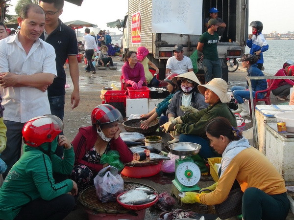 Khuyến khích người dân yên tâm ăn cá biển có giấy chứng nhận rõ ràng ảnh 1