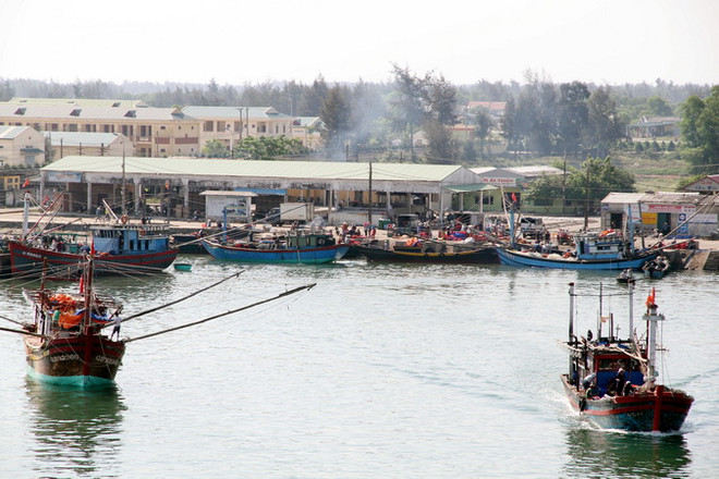 Thừa Thiên-Huế hỗ trợ ngư dân bị ảnh hưởng do hải sản chết bất thường ảnh 1