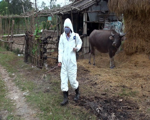 60% các bệnh mới xuất hiện trên người có nguồn gốc từ động vật ảnh 1