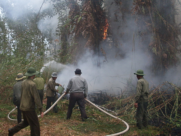 Nhiều trở ngại khi dập lửa tại vùng rừng bị cháy ở Đồng Nai ảnh 1