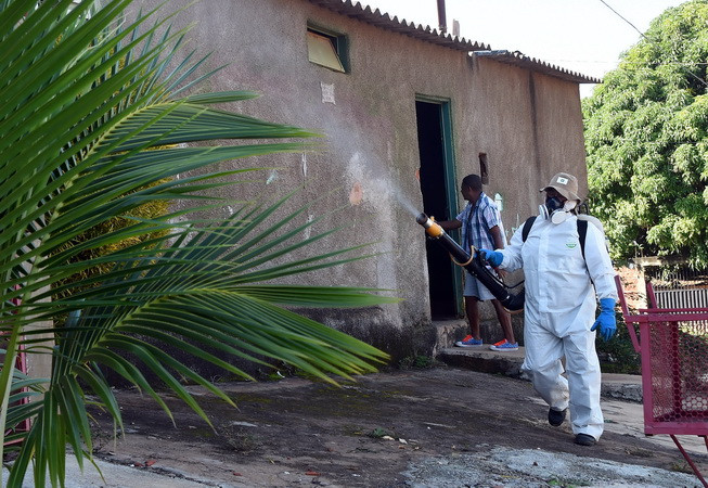 Bang Nam Australia xác nhận ca nhiễm virus Zika đầu tiên năm 2016 ảnh 1