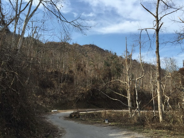 Hàng nghìn ha rừng đặc dụng Copia có nguy cơ bị cháy ảnh 1