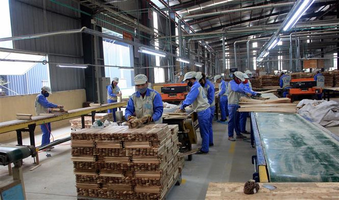 Ngành gỗ tận dụng từng lợi thế để đạt mục tiêu năm 2022 ảnh 2