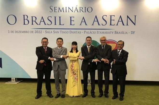 Brazil và các nước ASEAN tăng cường quan hệ hợp tác kinh tế ảnh 1