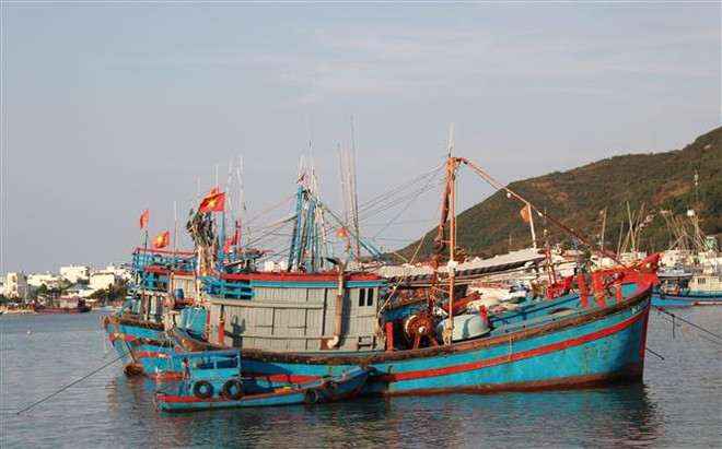 Khắc phục thẻ vàng IUU tại Khánh Hòa: Giải pháp lâu dài ảnh 2