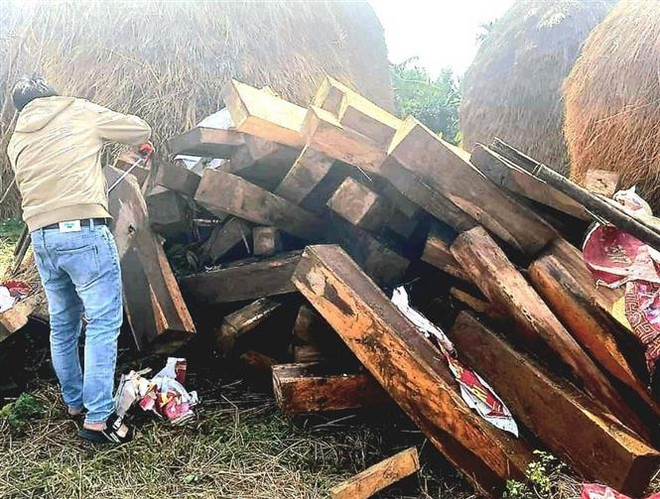 Quảng Ngãi: Phát hiện hơn 100 phách gỗ ké cất giấu ở nhà dân ảnh 1