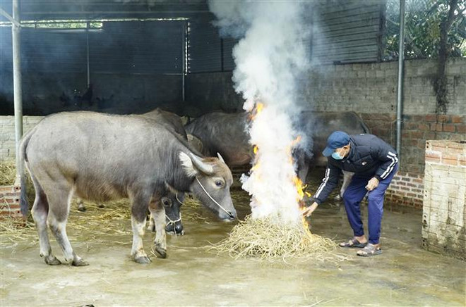 Vùng núi phía Bắc có nơi dưới 0 độ, nguy cơ băng giá, sương muối ảnh 1