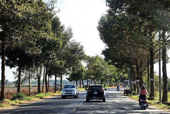 Bà Rịa-Vũng Tàu: Xây hạ tầng giao thông đồng bộ, kết nối liên vùng ảnh 2