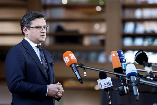 Ukraine dự định tổ chức hội nghị hòa bình vào đầu năm tới ảnh 1