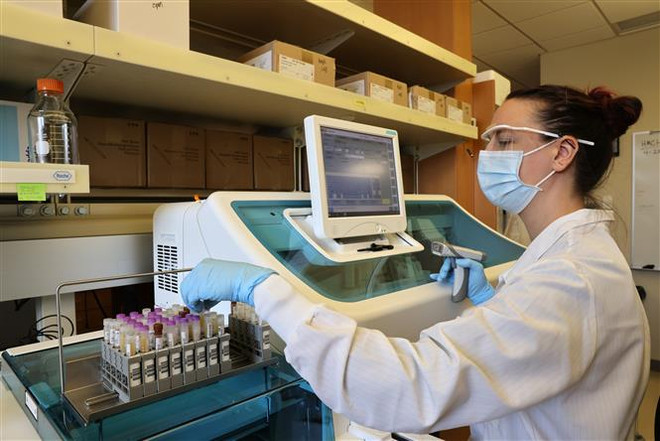 Nhà khoa học nghiên cứu vaccine ngừa COVID-19 tại phòng thí nghiệm của Novavax ở Washington, Mỹ. (Ảnh: AFP/TTXVN) Novavax thử nghiệm vaccine '2 trong 1' ngừa bệnh cúm và COVID-19 ảnh 1