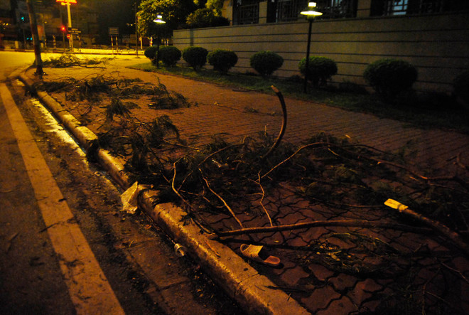 [Photo] Hà Nội: Ngổn ngang cây cối đổ sau cơn dông "giải nhiệt" ảnh 5