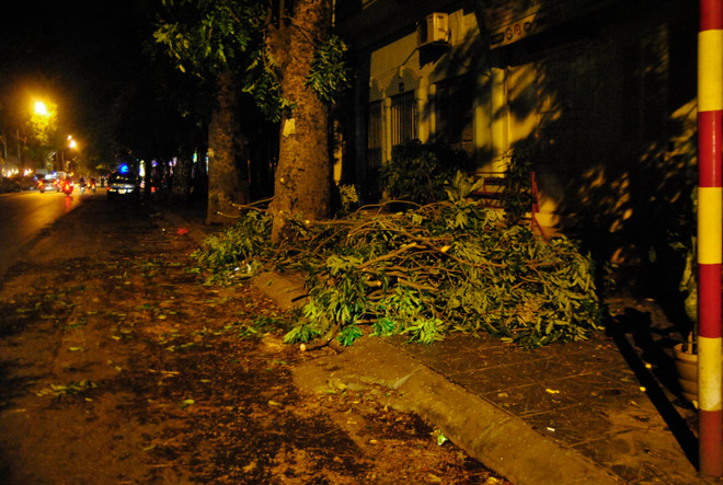 [Photo] Hà Nội: Ngổn ngang cây cối đổ sau cơn dông "giải nhiệt" ảnh 7
