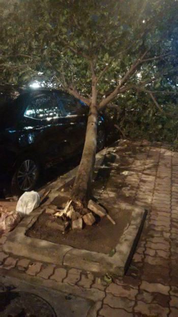 [Photo] Hà Nội: Ngổn ngang cây cối đổ sau cơn dông "giải nhiệt" ảnh 8