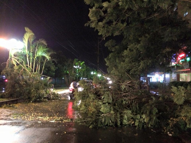 [Photo] Hà Nội: Ngổn ngang cây cối đổ sau cơn dông "giải nhiệt" ảnh 9