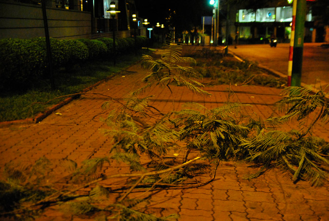 [Photo] Hà Nội: Ngổn ngang cây cối đổ sau cơn dông "giải nhiệt" ảnh 6