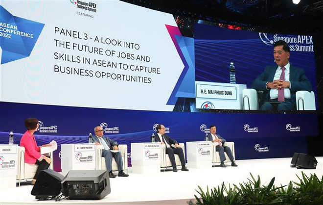 Nhà đầu tư nước ngoài quan tâm tương lai lực lượng lao động Việt Nam ảnh 1