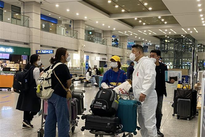 Hàn Quốc tiếp tục gia hạn thời gian cư trú cho lao động nước ngoài ảnh 1