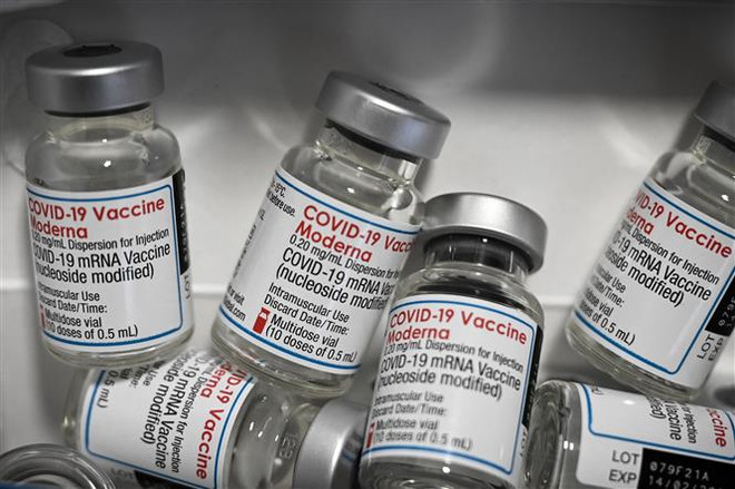 Vaccine ngừa COVID-19 của Hãng dược phẩm Moderna. (Ảnh: AFP/TTXVN) Moderna chuẩn bị xin FDA cấp phép sử dụng vaccine cho trẻ dưới 6 tuổi ảnh 1