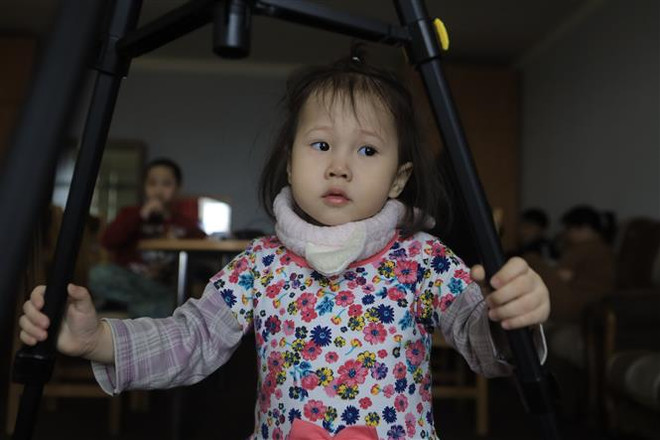 Hỗ trợ người Việt Nam di tản từ vùng chiến sự Ukraine sang Nga ảnh 1