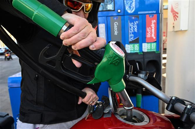 Việc giải phóng kho dự trữ là lời giải cho sự thiếu hụt dầu từ Nga? ảnh 2