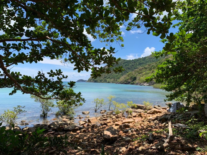 Vườn Quốc gia Côn Đảo thu hút Dự án du lịch sinh thái dưới tán rừng ảnh 3