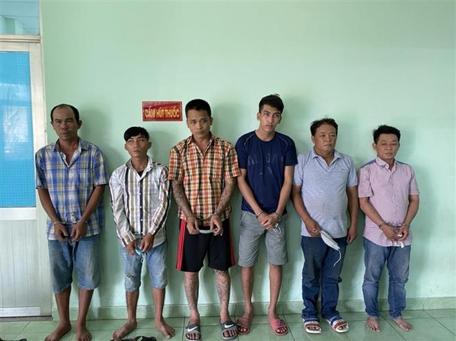 Tạm giữ nhóm đối tượng đe dọa, dùng xe cẩu để chiếm đoạt cây mai vàng ảnh 1