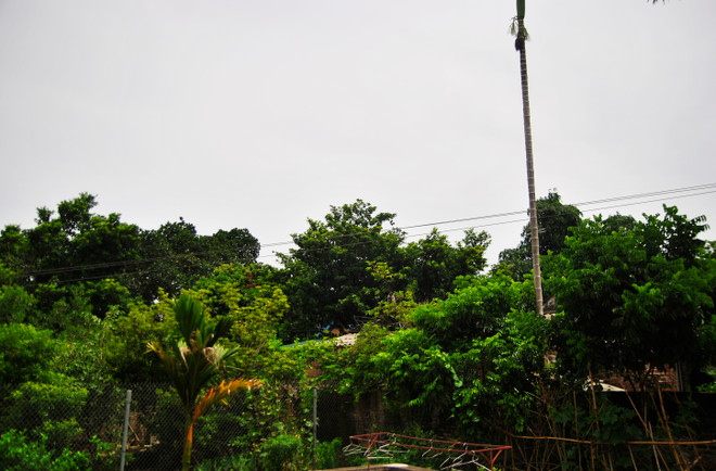 Thấp thỏm sống cùng dây điện 35kV hàng chục năm vắt qua sân nhà ảnh 3