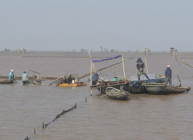 Gió lốc làm lật bè, 5 ngư dân Thanh Hóa được cứu vớt kịp thời ảnh 1