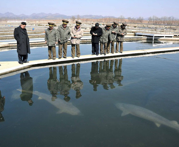 Kim Jong Un thăm trại cá, không có Bộ trưởng Quốc phòng đi cùng ảnh 1