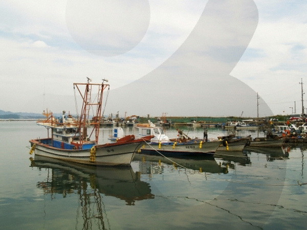 Một thuyền viên Việt Nam tử nạn trên tàu đánh cá của Hàn Quốc ảnh 1