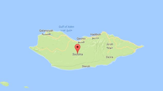 UAE tăng cường hiện diện quân sự tại đảo Socotra của Yemen ảnh 1