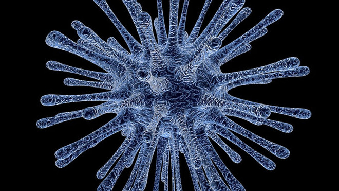 Dân hoang mang khi virus Nipah trở lại, nhiều người tử vong ảnh 1