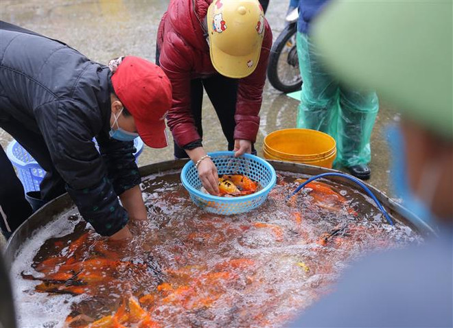 Hàng hóa cho ngày tiễn Táo quân về trời dồi dào, giá ổn định ảnh 1