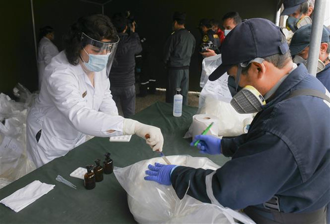 Peru thu giữ gần nửa tấn cocaine giấu trong container chở cá đông lạnh ảnh 1