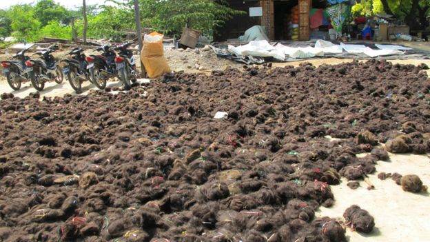 Đống tóc chưa được phân loại tại Myanmar. (Nguồn: Emma Tarlo) Khám phá hành trình bí ẩn của những bộ tóc giả, tóc nối ảnh 2