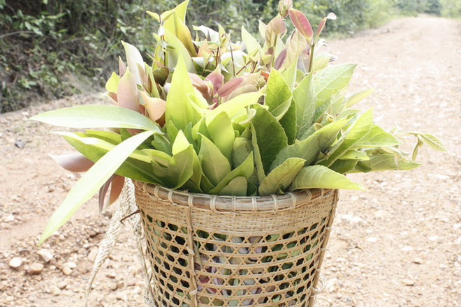 Gỏi lá Kon Tum - hương vị lan tỏa của núi rừng Tây Nguyên ảnh 2