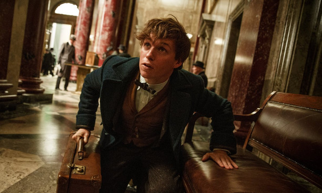 Scamander trong 'Fantastic Beasts and Where to Find Them."(Nguồn: theguardian.com) "Harry Potter tiền truyện" thu 75 triệu USD trong tuần mở màn ảnh 1