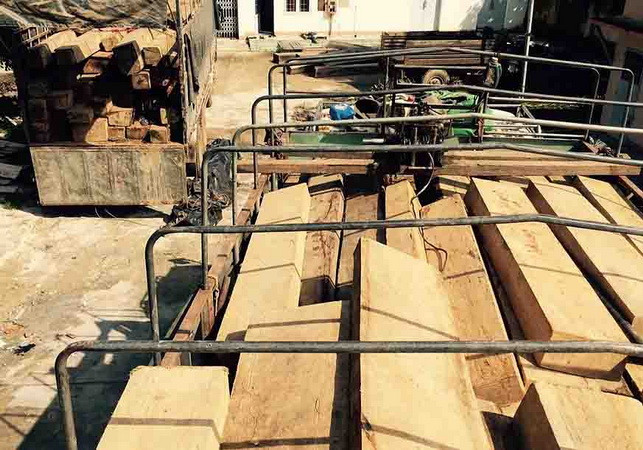 (Ảnh minh họa: Phạm Cường/TTXVN) Liên tiếp bắt giữ các vụ vận chuyển gỗ lậu không rõ nguồn gốc ảnh 1