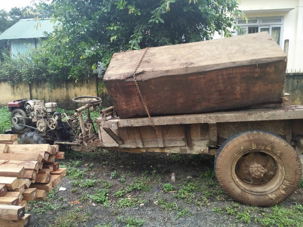 Xử phạt đối tượng mua bán, vận chuyển lâm sản trái phép ảnh 1