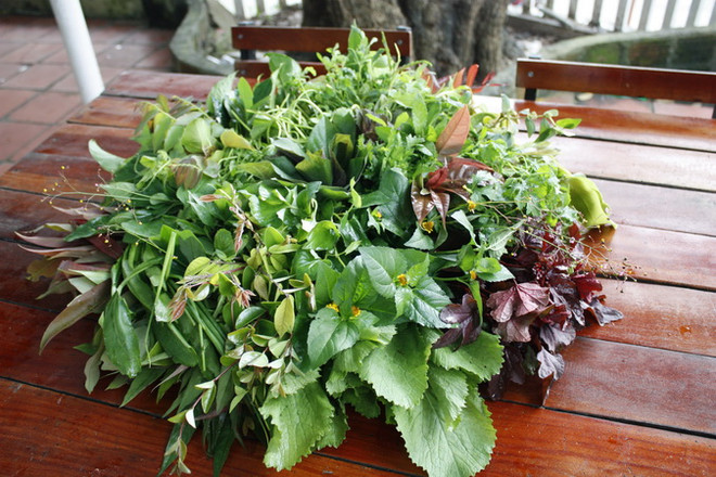 Gỏi lá Kon Tum - hương vị lan tỏa của núi rừng Tây Nguyên ảnh 7