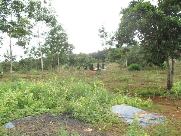 Đắk Nông: Sớm triển khai dự án ổn định dân di cư sau vụ nổ súng ảnh 2