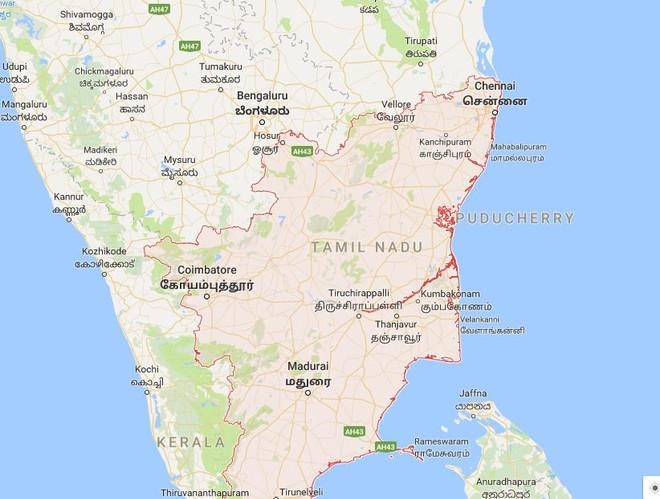 Ấn Độ: Xe buýt lao vào đám đông, ít nhất 10 người thiệt mạng ảnh 1