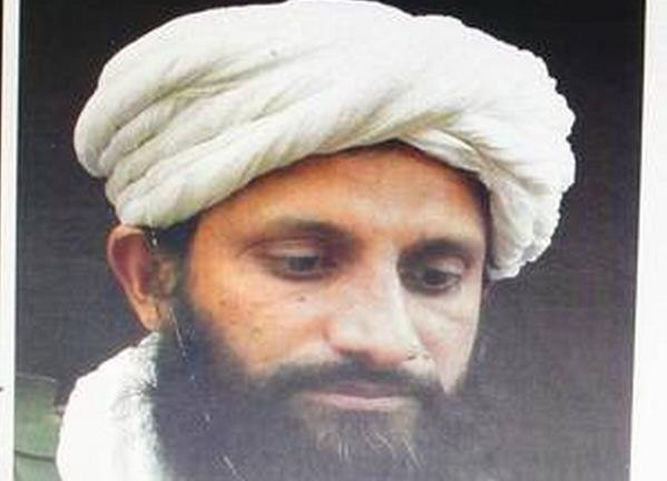 Thủ lĩnh al-Qaeda ở khu vực Nam Á bị tiêu diệt ở Afghanistan ảnh 1