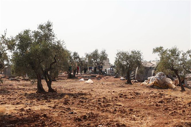 Chỉ huy SDF ở Syria cảnh báo nguy cơ IS trả thù cho thủ lĩnh Baghdadi ảnh 1