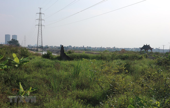 Hà Nội: Xây dựng hồ sơ xếp hạng di chỉ khảo cổ Vườn Chuối ảnh 1