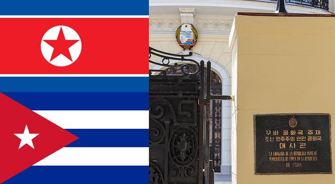 Triều Tiên nhấn mạnh quan hệ gắn bó và đoàn kết với Cuba ảnh 1